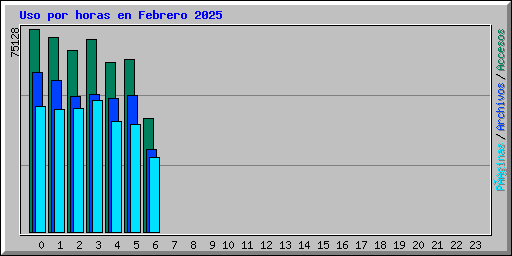 Uso por horas en Febrero 2025